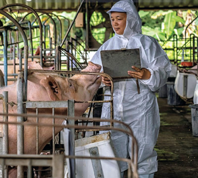 f2fa6b32-b9e3-4124-a9f2-c89dc719761c